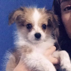 Meet your Posher, Karen